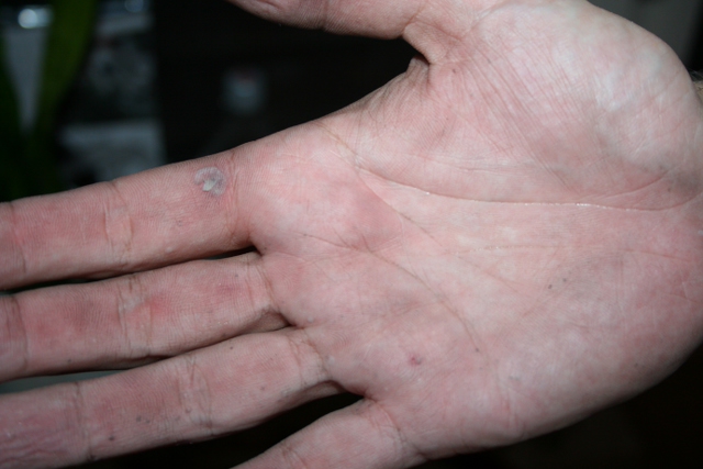 Afbeelding 053 640x427