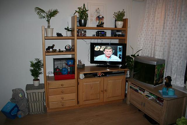 IMG 0005 800x533