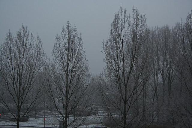 IMG 0008 800x533