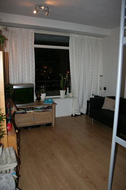 IMG 00091 800x533