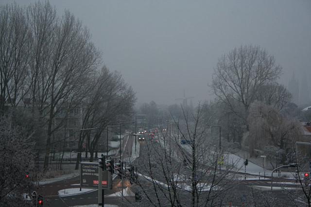 IMG 0010 800x533
