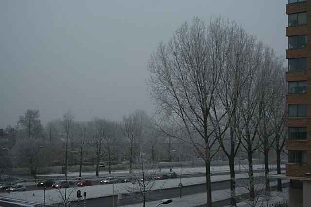 IMG 0011 800x533