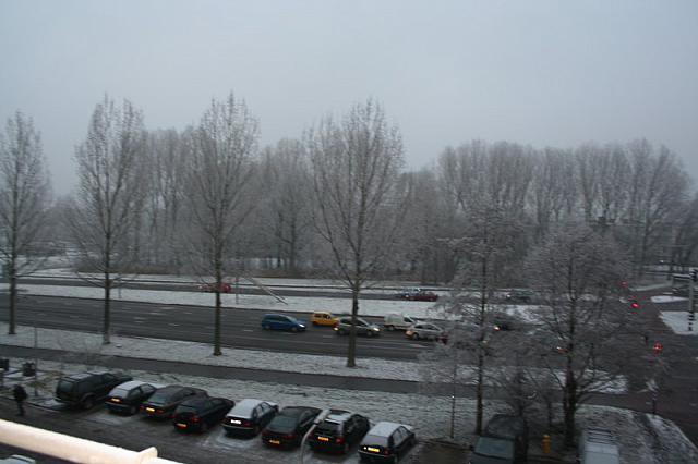 IMG 0014 800x533