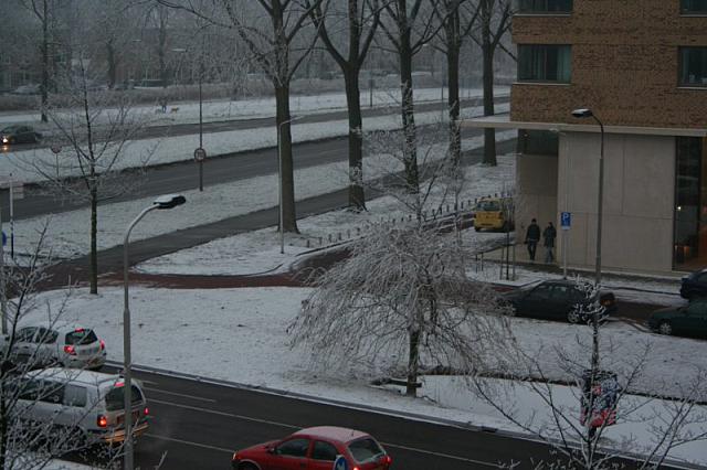 IMG 0016 800x533