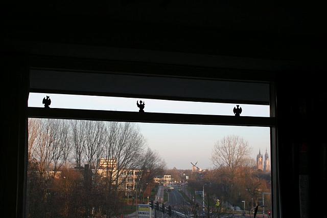 IMG 0083 800x533