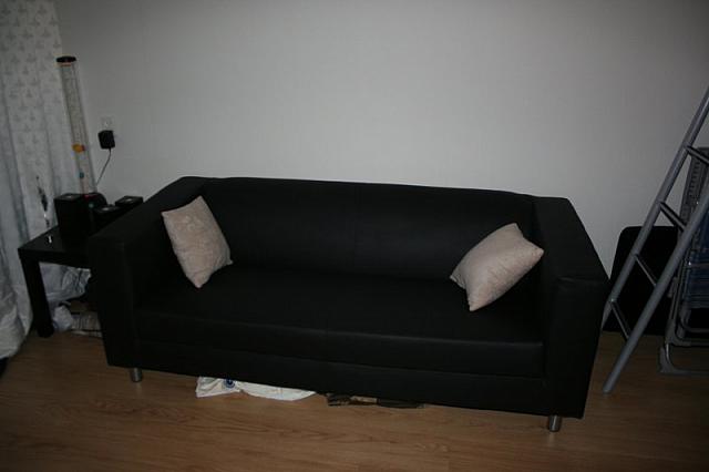 IMG 0101 800x533