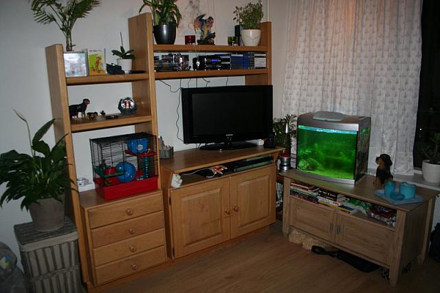 IMG 0102 800x533