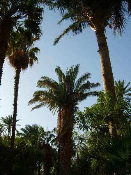S6000219 450x600