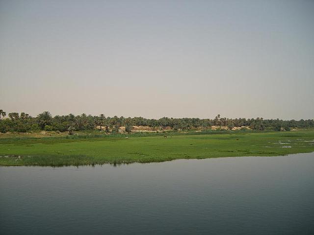 S6000317 800x600
