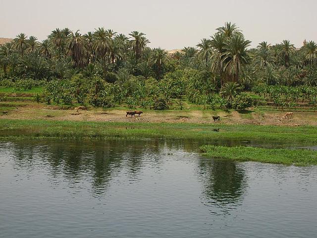 S6000338 800x600