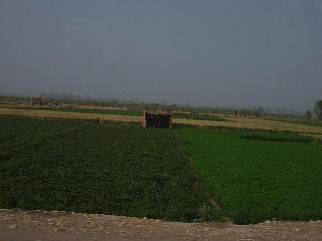 S6000404 800x600