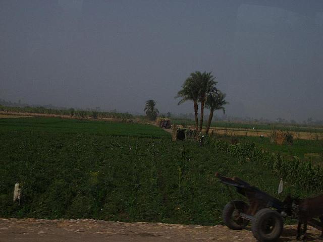 S6000405 800x600