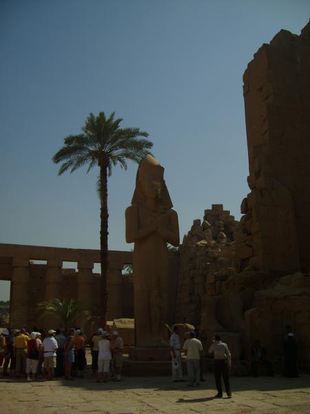 S6000523 450x600