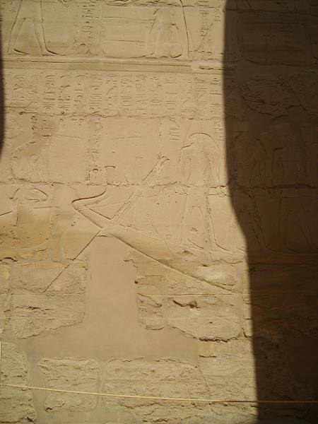S6000538 450x600