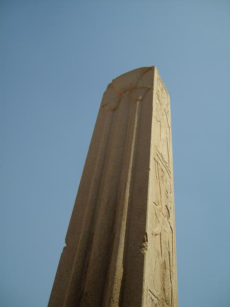S6000561 450x600