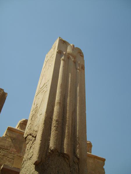 S6000562 450x600