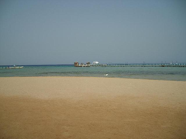 S6000800 800x600