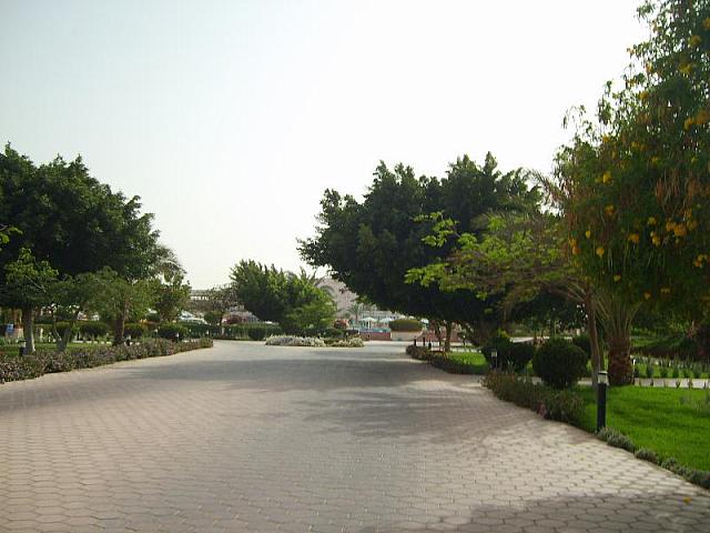 S6000817 800x600