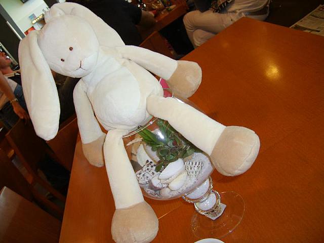 S6000003 800x600