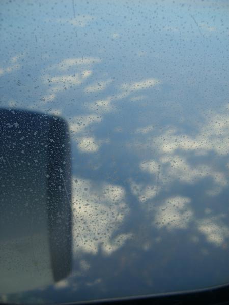 S6000008 450x600