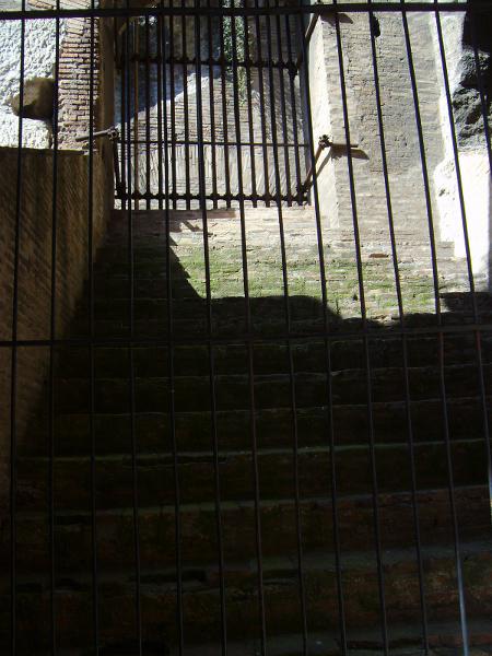 S6000069 450x600