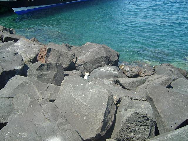 S6000514 800x600