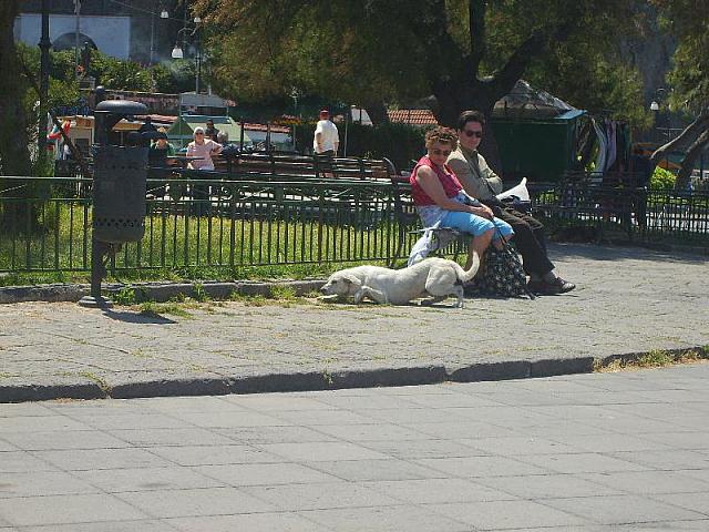 S6000526 800x600