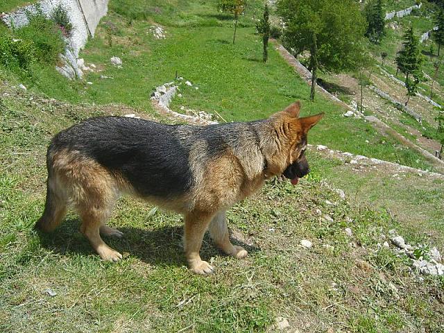 S6000992 800x600