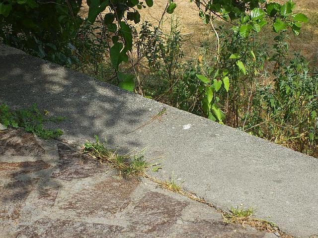 S6001029 800x600