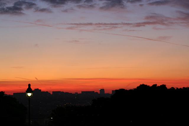 IMG 0011 800x533