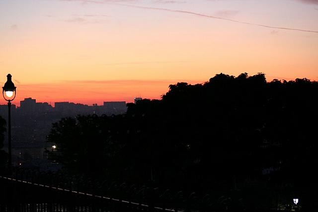 IMG 0017 800x533