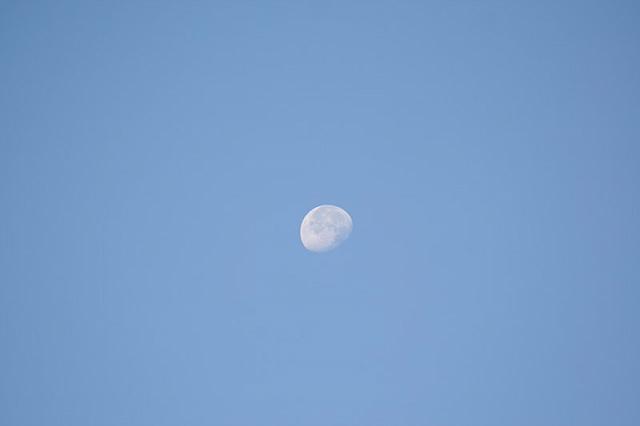 IMG 0056 800x533