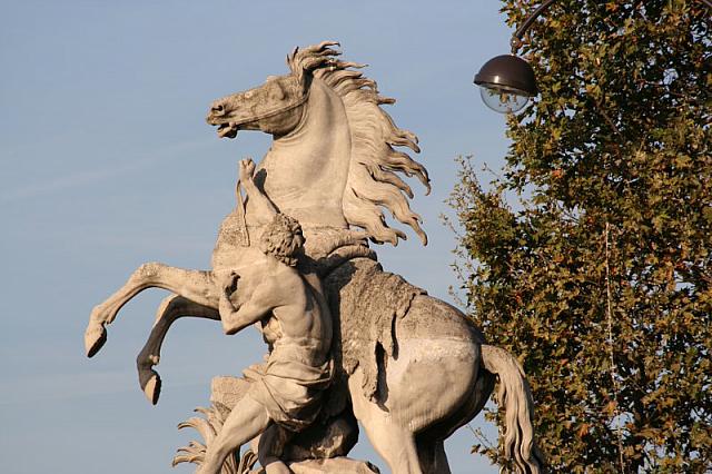 IMG 0124 800x533