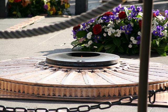 IMG 0160 800x533