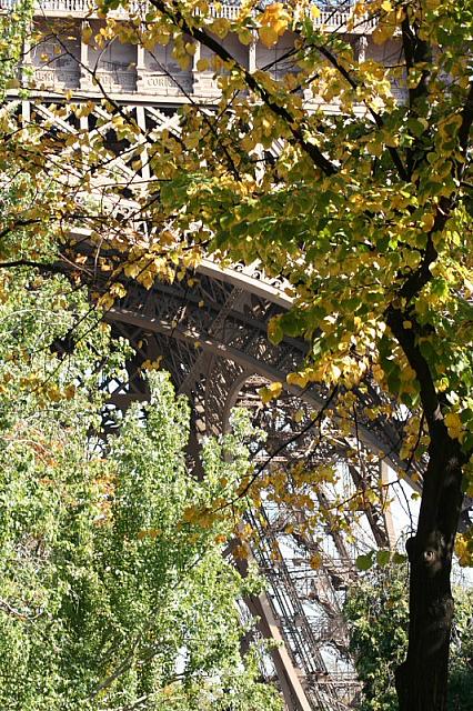 IMG 0180 800x533