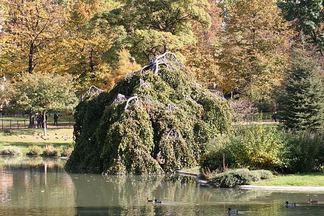 IMG 0201 800x533