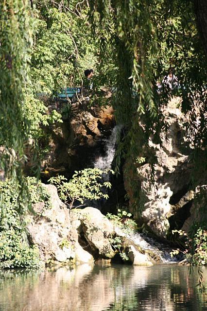 IMG 0206 800x533