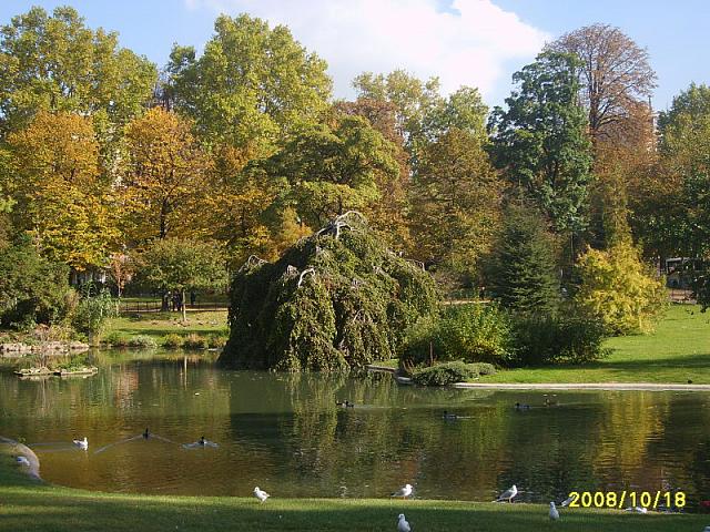 S6000073 800x600