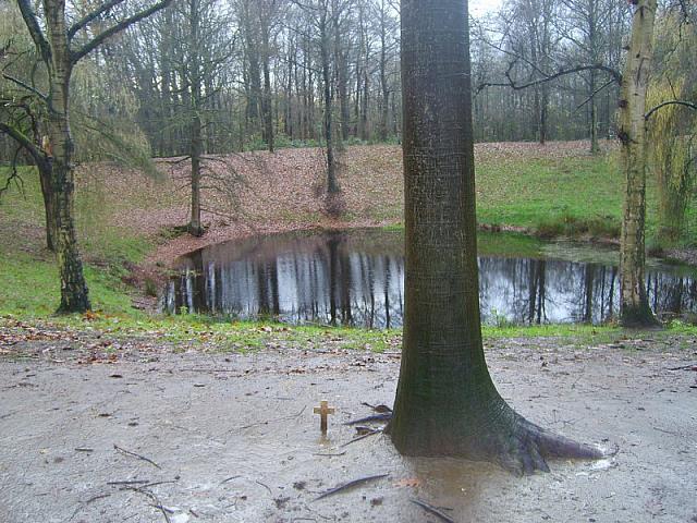 S6000233 800x600