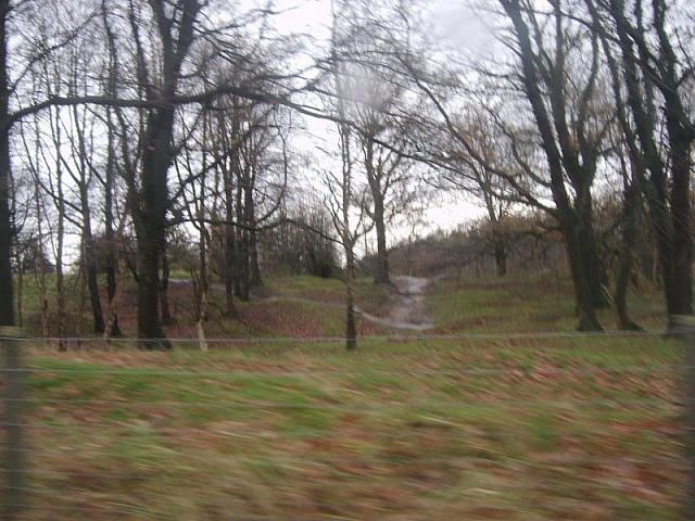 S6000242 800x600