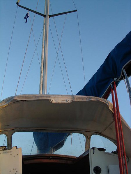 IMGP4728 450x600