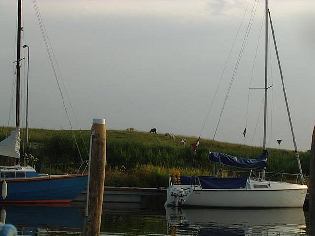 IMGP4745 800x600
