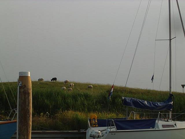IMGP4746 800x600
