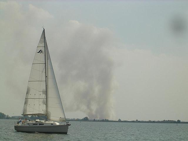 IMGP4902 800x600