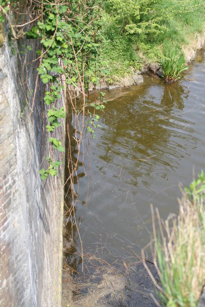 20090424 112 400x600