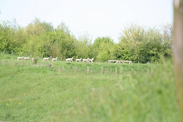20090424 122 800x533