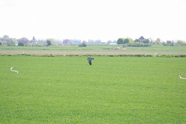 20090424 134 800x533