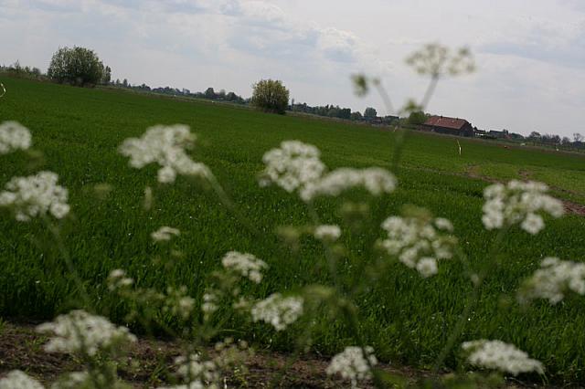 20090424 140 800x533
