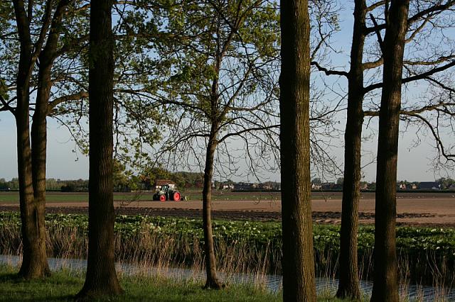 20090424 175 800x533