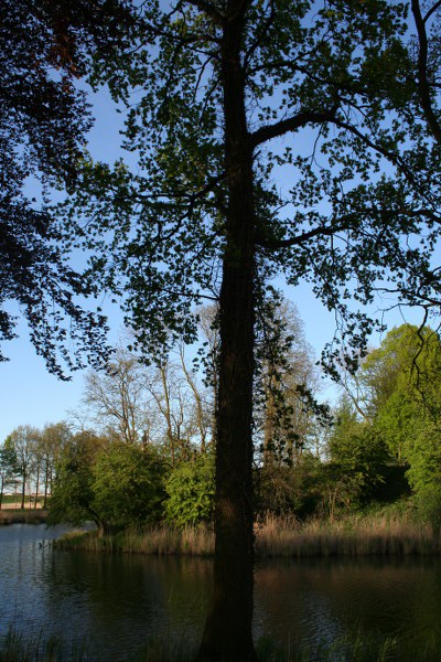 20090424 176 400x600